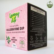 BALLOON VINE DIP SOUP